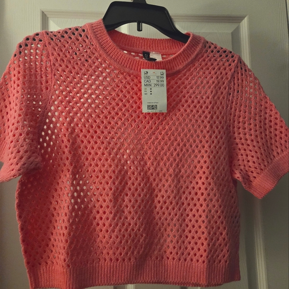 H&M Pink Mesh Crop Top